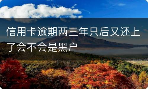 信用卡逾期两三年只后又还上了会不会是黑户