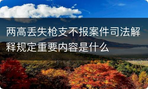 两高丢失枪支不报案件司法解释规定重要内容是什么