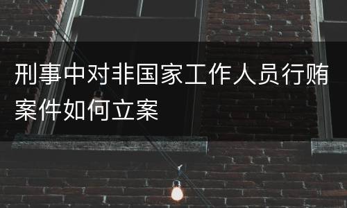 刑事中对非国家工作人员行贿案件如何立案