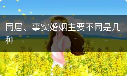 同居、事实婚姻主要不同是几种