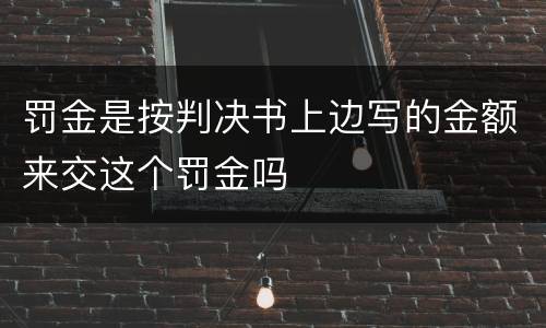 罚金是按判决书上边写的金额来交这个罚金吗