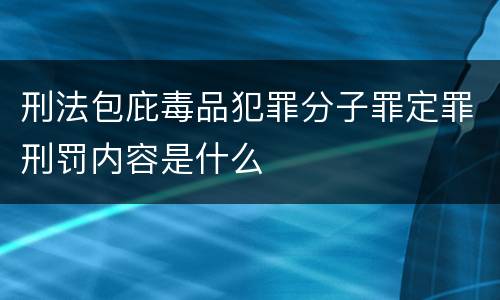 刑法包庇毒品犯罪分子罪定罪刑罚内容是什么