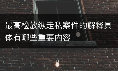 最高检放纵走私案件的解释具体有哪些重要内容