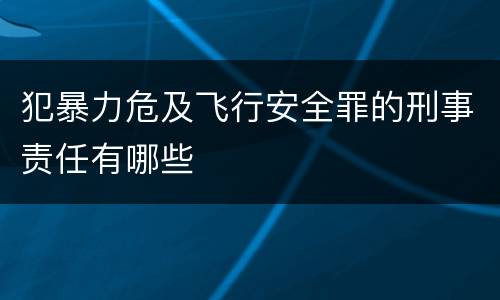 犯暴力危及飞行安全罪的刑事责任有哪些