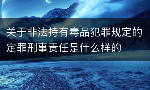 关于非法持有毒品犯罪规定的定罪刑事责任是什么样的
