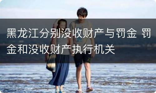 黑龙江分别没收财产与罚金 罚金和没收财产执行机关