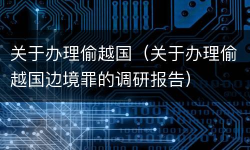 关于办理偷越国（关于办理偷越国边境罪的调研报告）