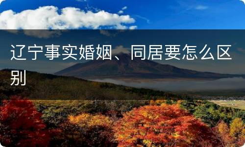辽宁事实婚姻、同居要怎么区别