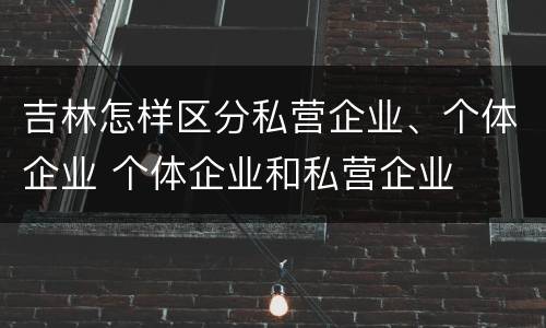吉林怎样区分私营企业、个体企业 个体企业和私营企业