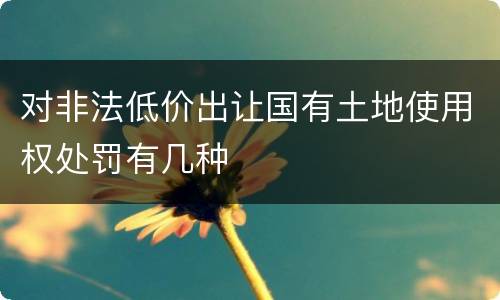 对非法低价出让国有土地使用权处罚有几种