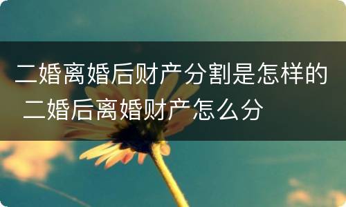 二婚离婚后财产分割是怎样的 二婚后离婚财产怎么分