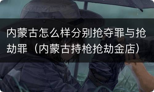 内蒙古怎么样分别抢夺罪与抢劫罪（内蒙古持枪抢劫金店）