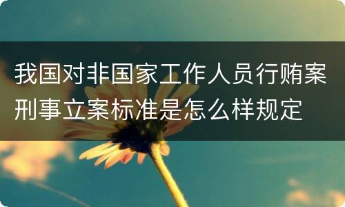 我国对非国家工作人员行贿案刑事立案标准是怎么样规定