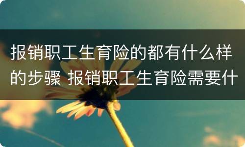 报销职工生育险的都有什么样的步骤 报销职工生育险需要什么