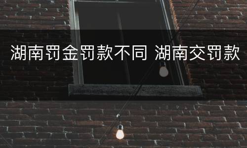 湖南罚金罚款不同 湖南交罚款