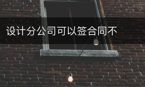 设计分公司可以签合同不