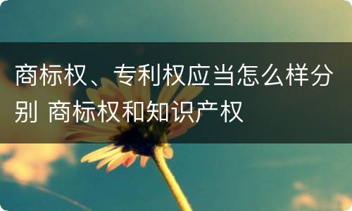 商标权、专利权应当怎么样分别 商标权和知识产权