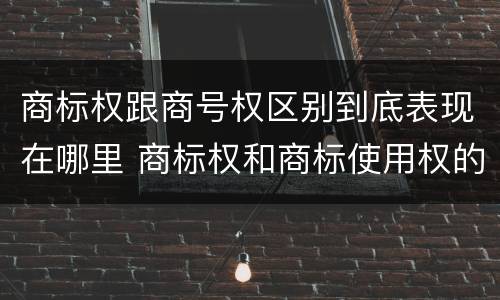 商标权跟商号权区别到底表现在哪里 商标权和商标使用权的区别