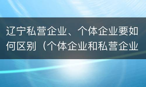 辽宁私营企业、个体企业要如何区别（个体企业和私营企业的区别）