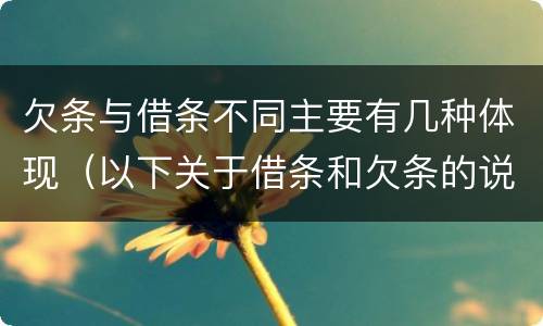 欠条与借条不同主要有几种体现（以下关于借条和欠条的说法中正确的有）