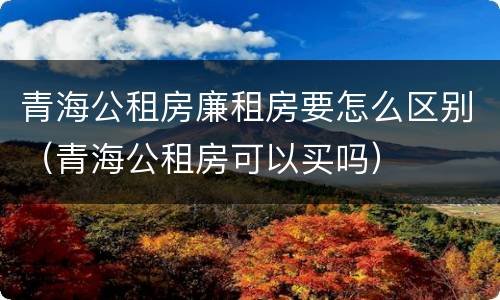 青海公租房廉租房要怎么区别（青海公租房可以买吗）