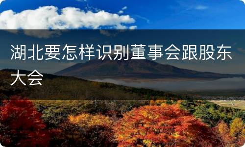 湖北要怎样识别董事会跟股东大会