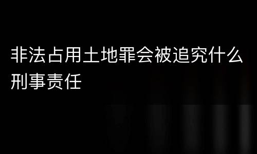 非法占用土地罪会被追究什么刑事责任