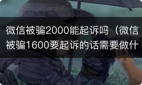微信被骗2000能起诉吗（微信被骗1600要起诉的话需要做什么）