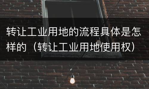 转让工业用地的流程具体是怎样的(转让工业用地使用权)
