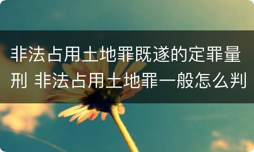 非法占用土地罪既遂的定罪量刑 非法占用土地罪一般怎么判决