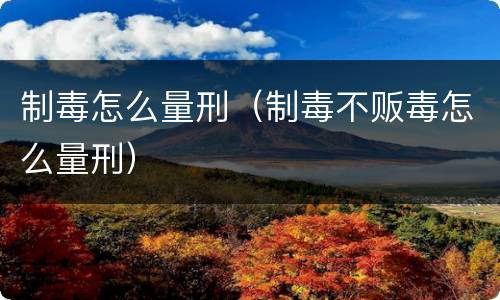 制毒怎么量刑（制毒不贩毒怎么量刑）