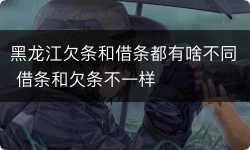 黑龙江欠条和借条都有啥不同 借条和欠条不一样