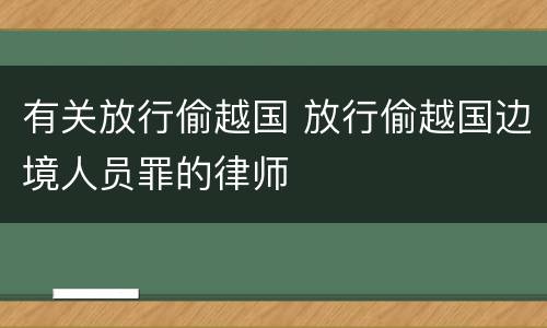 有关放行偷越国 放行偷越国边境人员罪的律师
