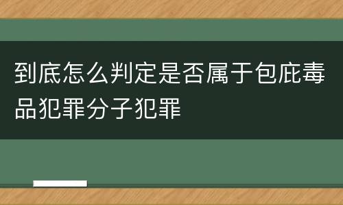 到底怎么判定是否属于包庇毒品犯罪分子犯罪