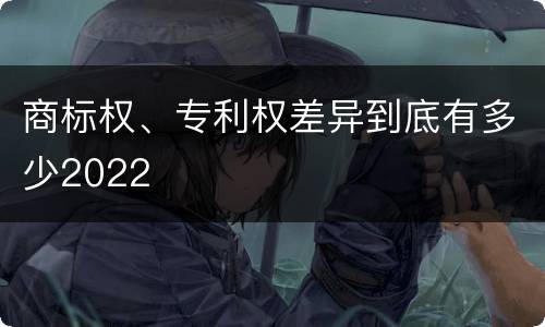 商标权、专利权差异到底有多少2022
