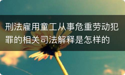 刑法雇用童工从事危重劳动犯罪的相关司法解释是怎样的