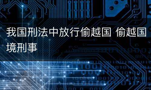 我国刑法中放行偷越国 偷越国境刑事