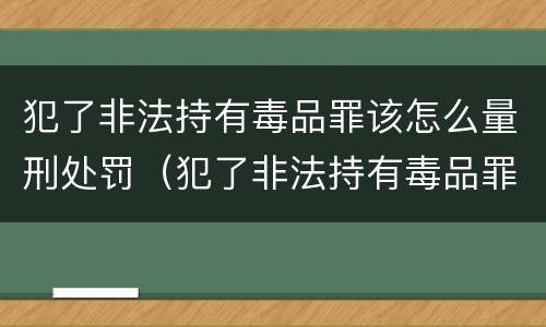 犯了非法持有毒品罪该怎么量刑处罚（犯了非法持有毒品罪该怎么量刑处罚多少钱）