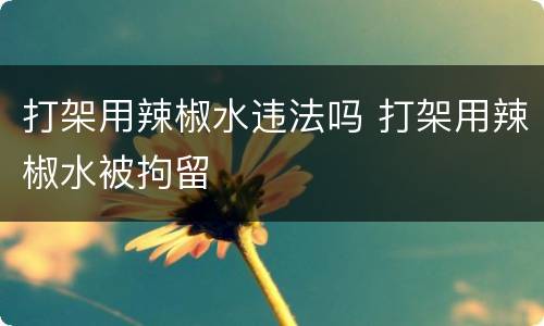 打架用辣椒水违法吗 打架用辣椒水被拘留