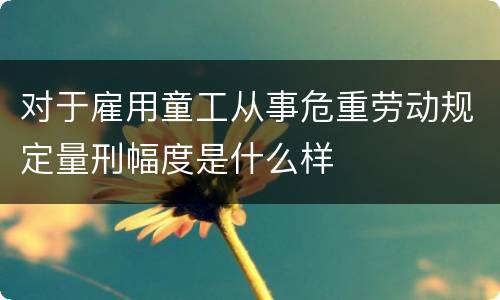 对于雇用童工从事危重劳动规定量刑幅度是什么样