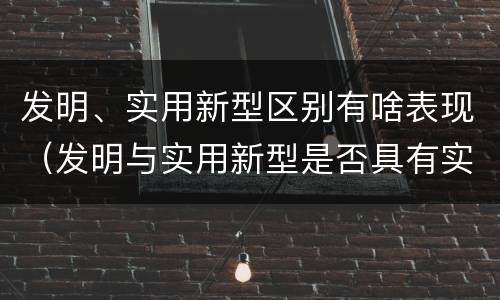 发明、实用新型区别有啥表现（发明与实用新型是否具有实用性）