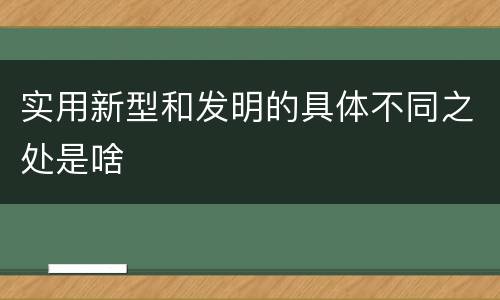 实用新型和发明的具体不同之处是啥