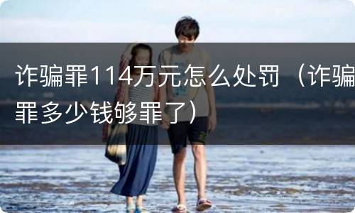诈骗罪114万元怎么处罚（诈骗罪多少钱够罪了）