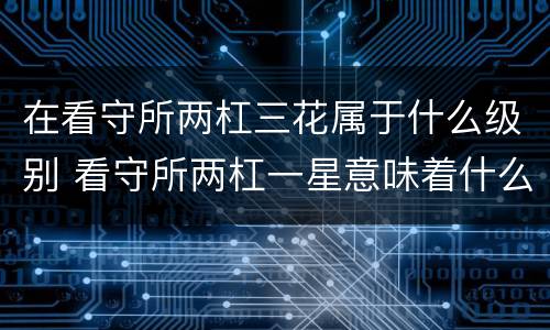 在看守所两杠三花属于什么级别 看守所两杠一星意味着什么