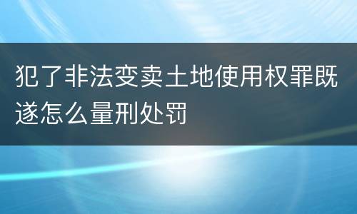 犯了非法变卖土地使用权罪既遂怎么量刑处罚