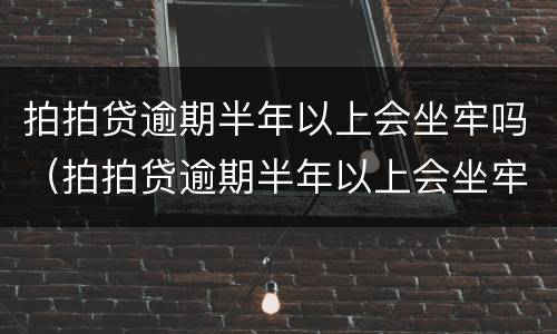 拍拍贷逾期半年以上会坐牢吗（拍拍贷逾期半年以上会坐牢吗）