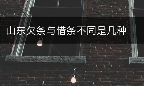 山东欠条与借条不同是几种