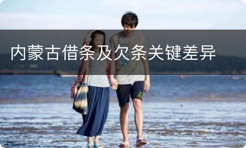 内蒙古借条及欠条关键差异