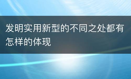 发明实用新型的不同之处都有怎样的体现