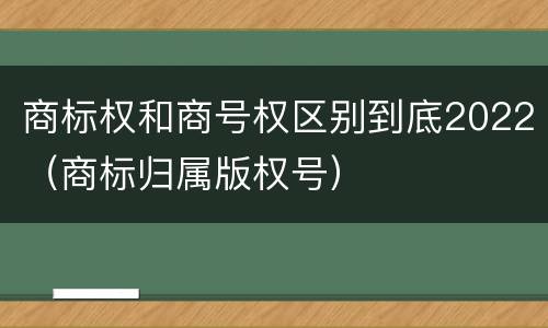商标权和商号权区别到底2022（商标归属版权号）